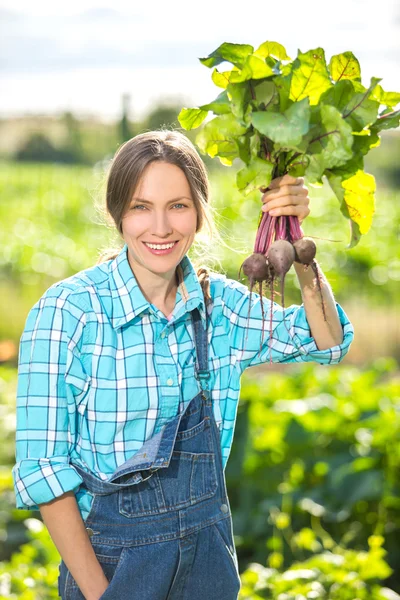 Trädgårdsarbete, odling - ekologisk mat — Stockfoto