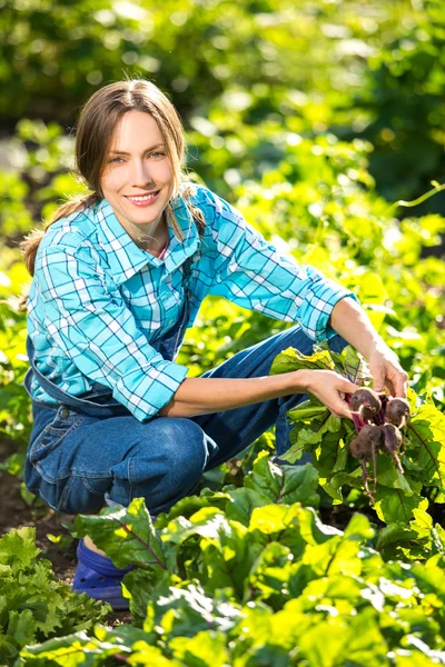 Jardinagem - Mulher trabalhando em uma horta — Fotografia de Stock