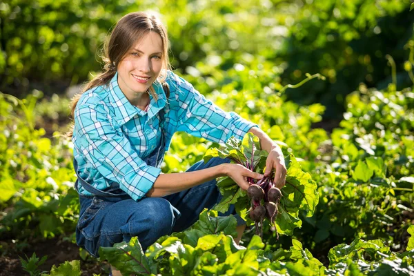 Jardinagem - Mulher com beterraba orgânica — Fotografia de Stock