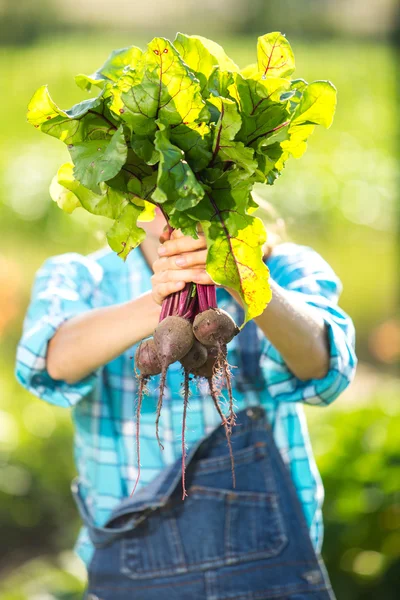 Kvinna med grönsaker rödbetor — Stockfoto