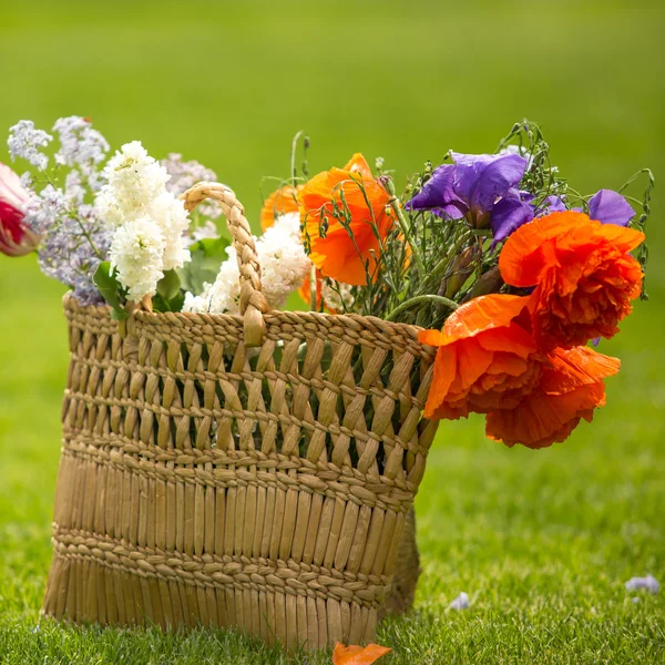Mooie zomerbloemen — Stockfoto
