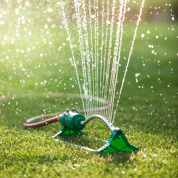 芝生のスプリンクラー — ストック写真