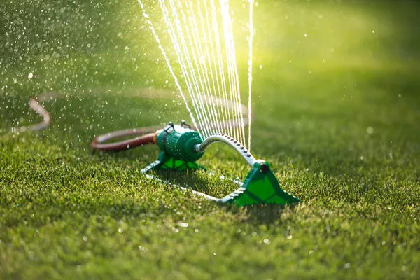 Gras sprinkler — Stockfoto