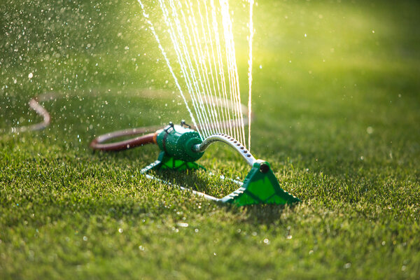 Grass sprinkler