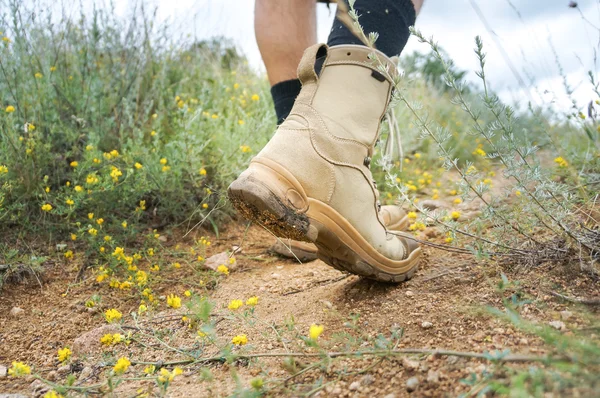 Hiking boots walking on the path — Stock Photo, Image