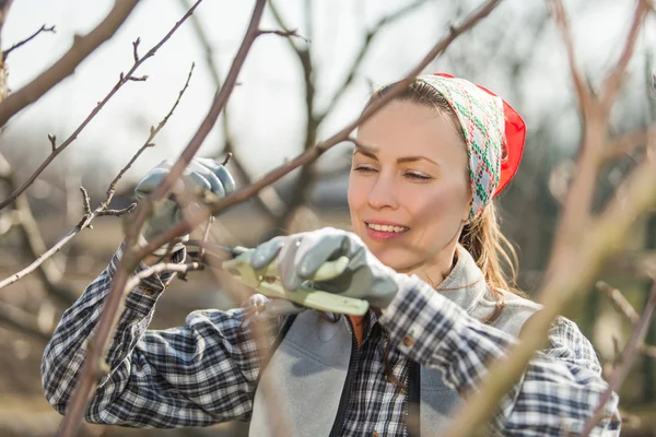 Trädgårdsmästare i trädgård — Stockfoto