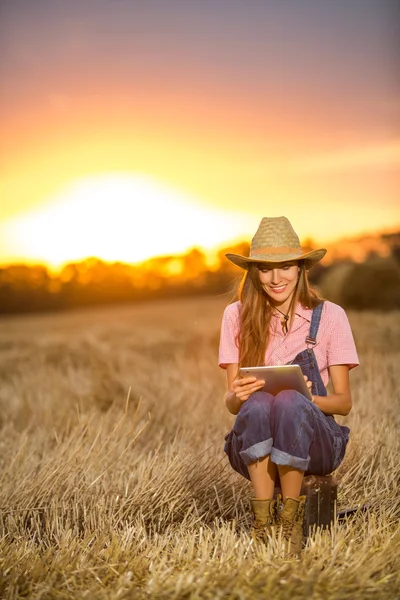 Viajante com comprimido sobre o pôr do sol — Fotografia de Stock