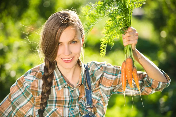 Jardinero sosteniendo racimo de zanahorias — Foto de Stock
