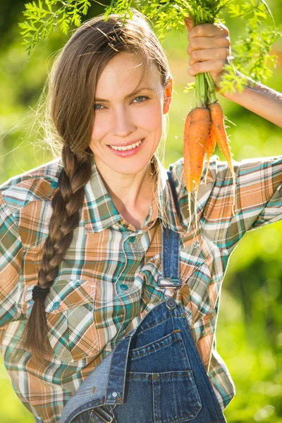 Jardineiro segurando monte de cenouras — Fotografia de Stock