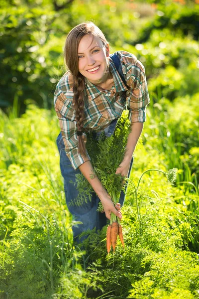 Jeune femme avec un tas de carottes dans le jardin — Photo