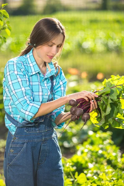 Frau mit Bio-Gemüse — Stockfoto