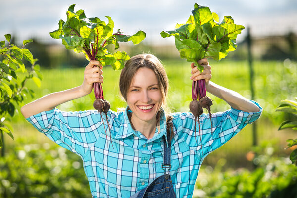 Healthy organic vegetables - woman gardener