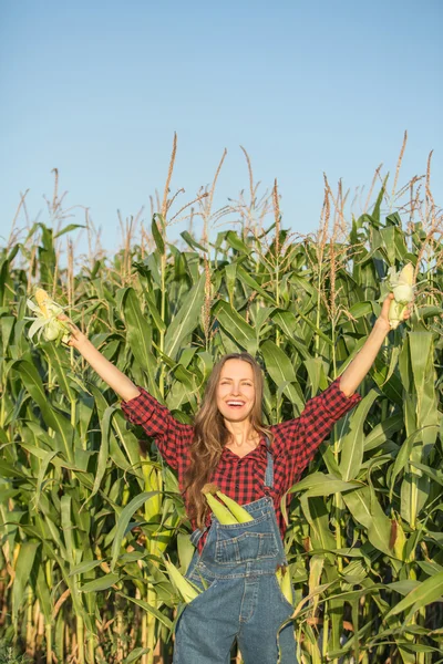 Farmy en el campo de maíz — Foto de Stock