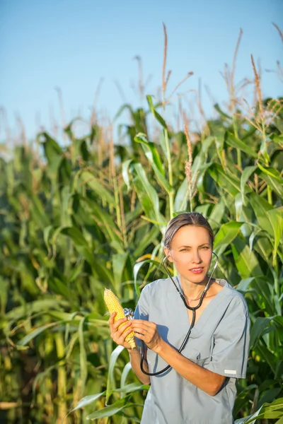 GMO, profesionální v uniformě zkoumání Kukuřičný klas — Stock fotografie