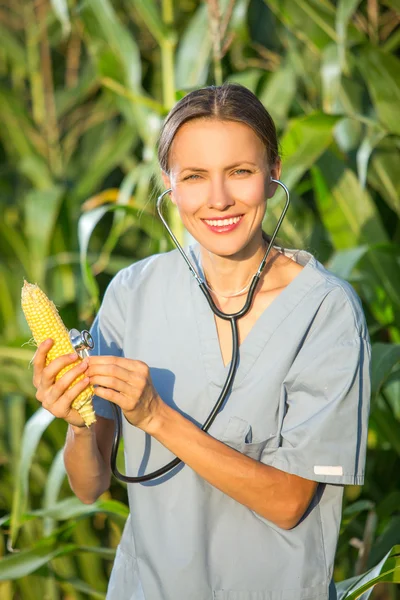GMO, professionella i uniform undersöka majskolv — Stockfoto
