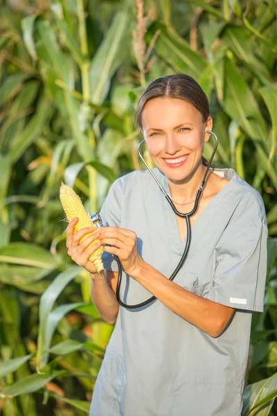 GMO, profesional dalam seragam memeriksa tongkol jagung — Stok Foto
