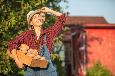 kadın çiftçi taşıma sandık, taze sebze bahçesinde hasat
