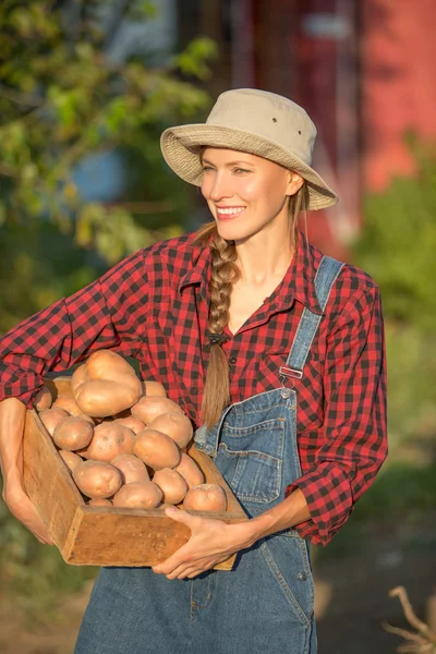 Mulher agricultora carregando caixa com legumes recém-colhidos no jardim — Fotografia de Stock