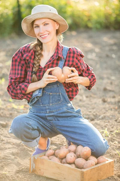 Une agricultrice montre sa pomme de terre biologique — Photo