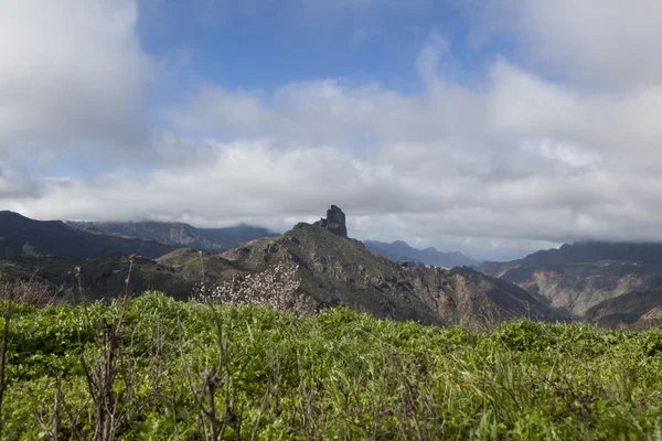 Roque Bentayga — Stok fotoğraf