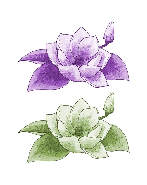 Set van lotus lelie, monochroom, contour, Aquarel gestileerde hand werkje, Geïsoleerde, Witte achtergrond. — Stockvector