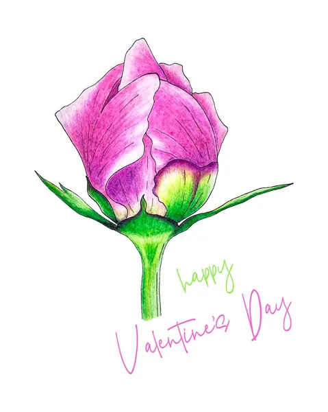 Szczęśliwych Walentynki piwonia pąk i liternictwo dla wszystkich miłośników, ręcznie ołówek rysunek, szkic, pocztówka, białe tło. — Wektor stockowy