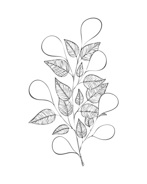 Κλάδος με φύλλα σε doodling στυλ, περίγραμμα, σιλουέτα, σφραγίδα, σχέδιο στο χέρι. Μεμονωμένο, λευκό φόντο. — Διανυσματικό Αρχείο