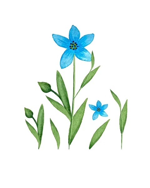 Vlas Linum blauwe vlas bloem aquarel. Set van individuele elementen. Geïsoleerde, witte achtergrond. Aquarel vector illustratie. — Stockvector