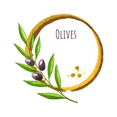 Etiket, pankart, kartpostal, vektör suluboya, yuvarlak benekli zeytin dalı, bir yazı için yer,