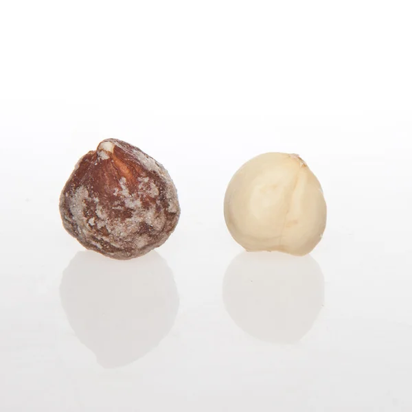 Macadamia nut — Stok fotoğraf