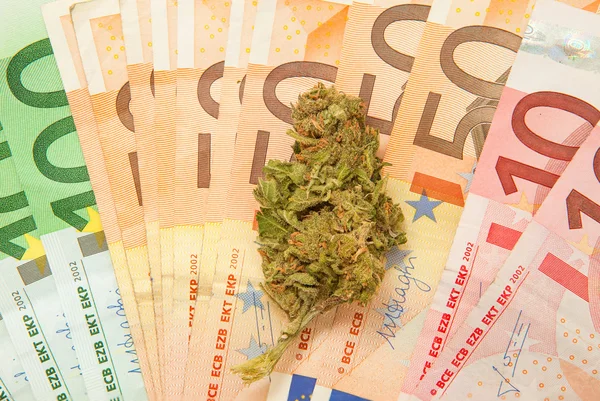 Marihuana y billetes en euros — Foto de Stock