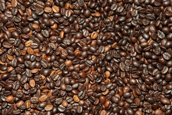 Kaffeebohnen Hintergrund — Stockfoto