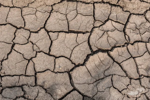 Drought — Stock Photo, Image