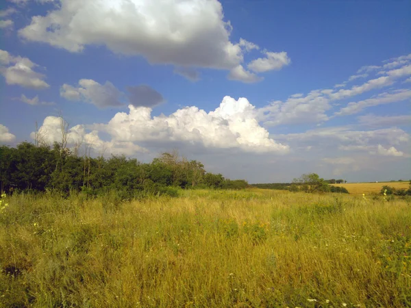 Alan, Rus sahası ...