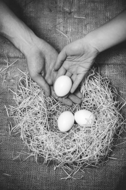 Man and woman putting egg in the nest with other eggs clipart