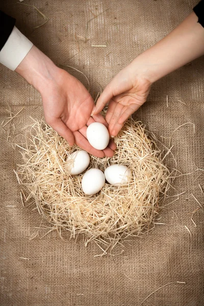 妇女和男子的手把白蛋在窝里与其他许多松鸡蛋 — 图库照片
