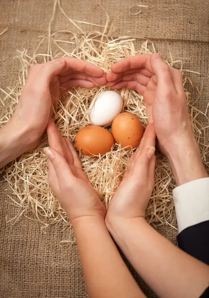 Hombres y mujeres manos protegiendo nido y formando forma de corazón — Foto de Stock