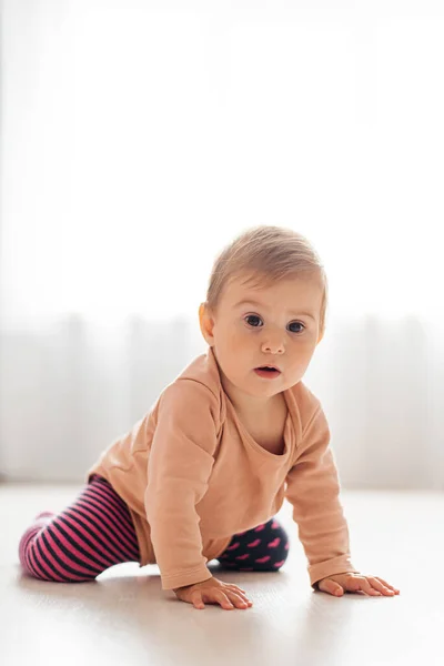 Bebé Niña Mallas Arrastrándose Suelo — Foto de Stock