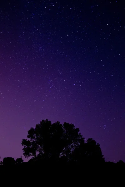 Purpurfarbener Himmel bei Nacht und Sterne — Stockfoto