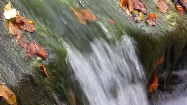 흐르는 과빠른 물이라 돌덩이와 낙엽으로 뒤덮인 가을의 폭포수 — 비디오