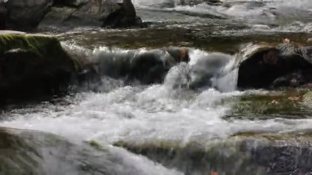 마운틴 래피즈 있습니다 세차게 흐르는 시냇물 신속하게 흐르는 돌무덤 가을의 — 비디오