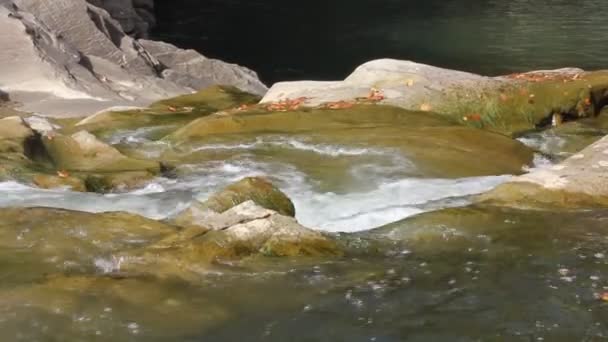흐르는 과빠른 물이라 돌덩이와 회색큰 돌이고 송곳니 떨어져 가을의 폭포수 — 비디오