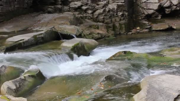 Прозрачно Чистая Вода Горной Реке Бегущий Поток Быстрый Поток Родниковой — стоковое видео