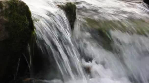 Górskie Rzeki Przejrzysto Czysta Woda Rzece Pędzący Strumień Szybki Przepływ — Wideo stockowe
