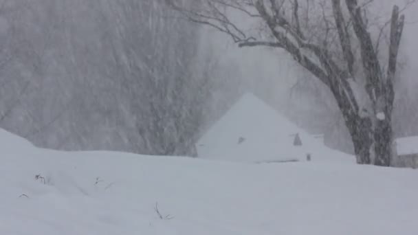 Dach Prywatnego Parterowego Domu Pokrytego Śniegiem Zimowe Opady Śniegu Wsi — Wideo stockowe