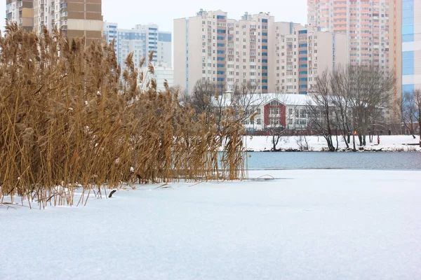 ウクライナのキエフ 2020年1月3日 冬の街並み 凍結雪と美しい街並み 裸の木 海岸に葦をカバー 反対側にある複数階建てのアパートの建物 — ストック写真