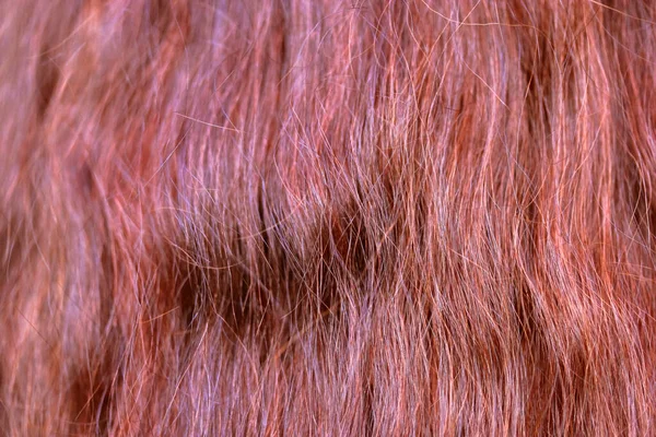 Henné Roux Brillant Gingembre Légèrement Ondulé Fond Cheveux Texture Près — Photo