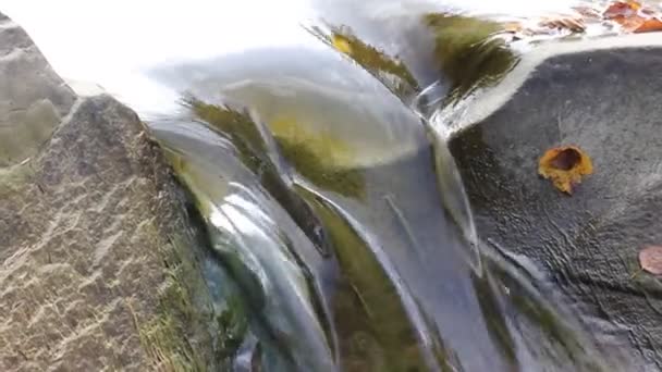 마운틴 래피즈 있습니다 세차게 흐르는 시냇물 신속하게 흐르는 돌무덤 가을의 — 비디오