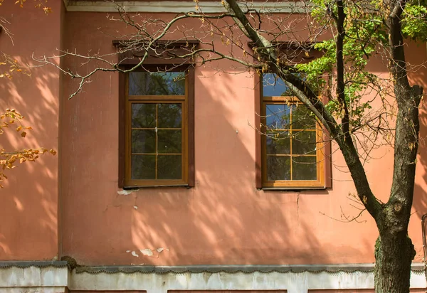 Оранжева стіна будівлі, фасад старого будинку з дерев'яними віконними рамами. Розгалужене безлике дерево в теплий сонячний осінній день, осінній пейзаж сезону. Жовте зелене листя. Міська архітектура. — стокове фото