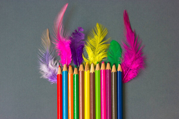 Set of multicolored wooden pencils, colorful feathers on gray table. Creativity.